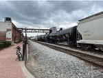 CTCX 731356